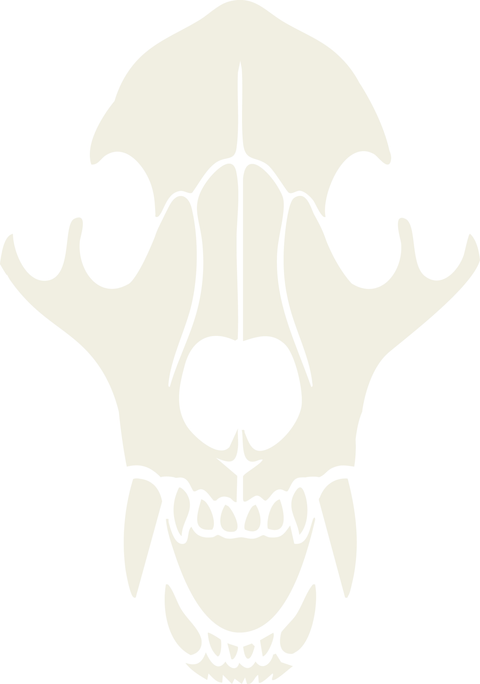 Black Bear