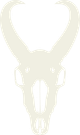 Pronghorn