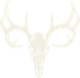 Whitetail